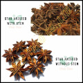 WHOLE STAR ANISE/ WHOLE STAR ANISEED/ STAR ANISEED AUTUMN